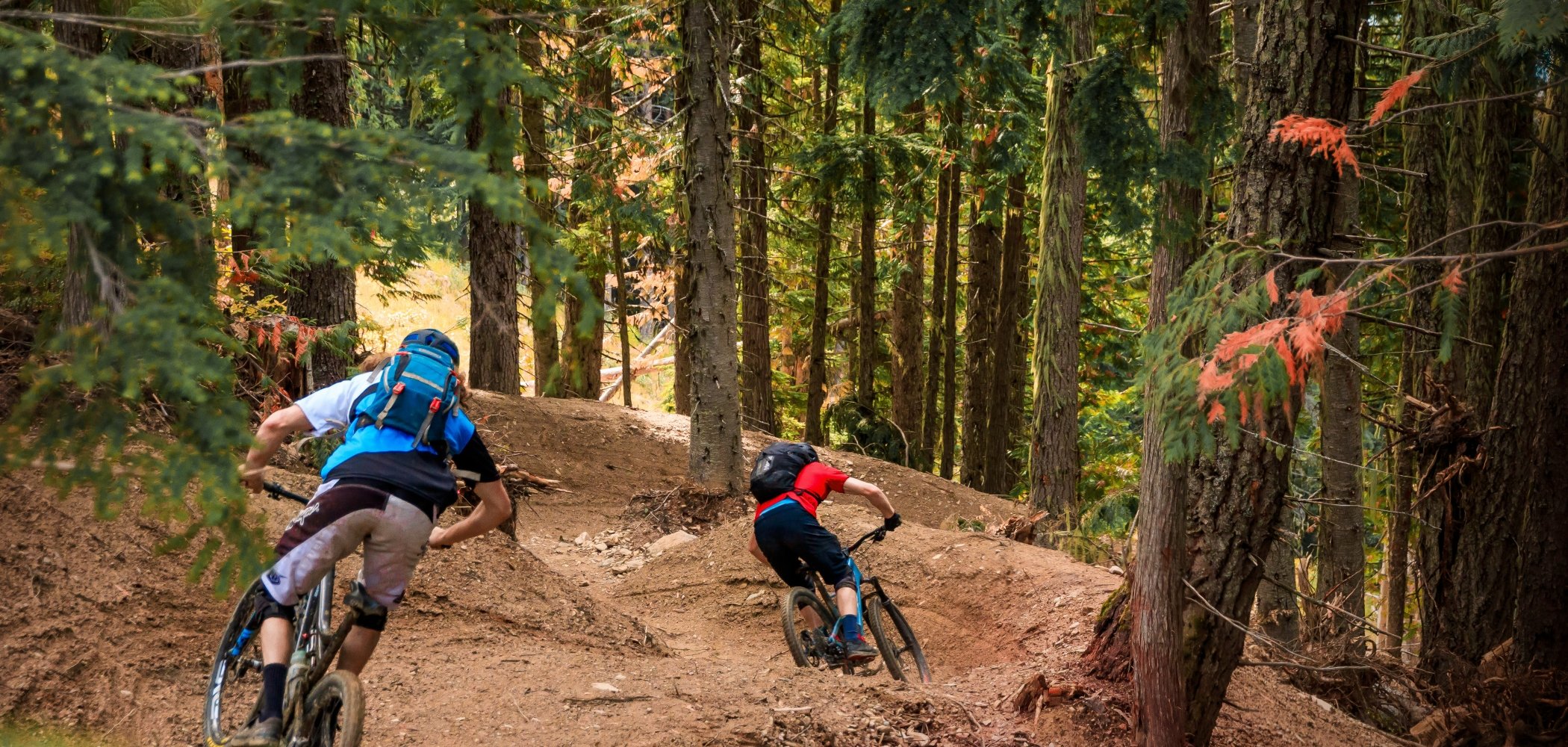mountain bike trails